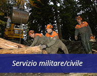 Militaer/Zivildienst